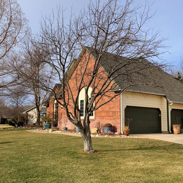 Lewis Tree Solutions