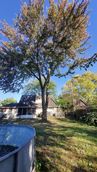 E S Tree Services Llc