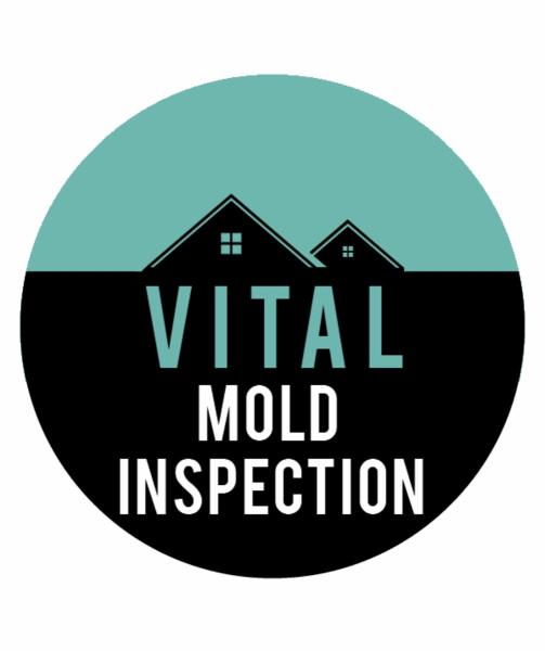 Vital Mold Inspection