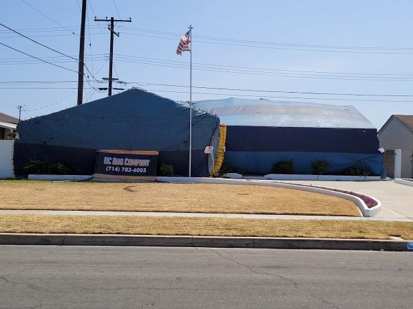 OC Bug Company