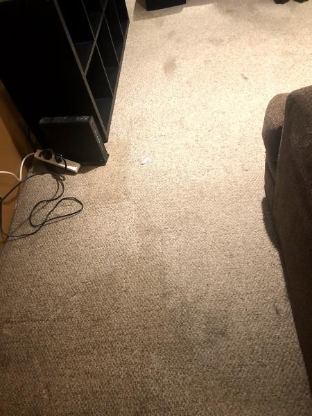 Pristine Carpet Cleaning