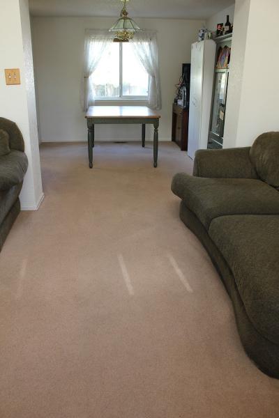 Pristine Carpet Cleaning