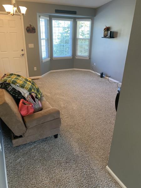 Pristine Carpet Cleaning