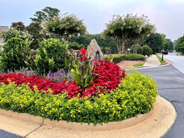 Georgia Scapes