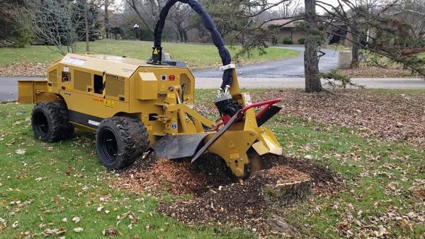 Boo's Stump Grinding