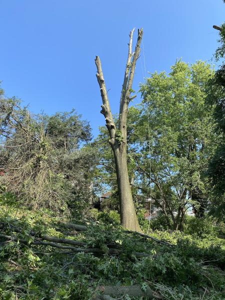 Perkins Tree Service