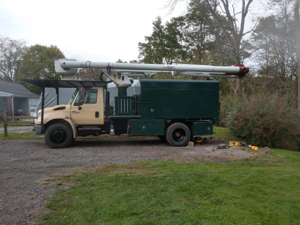 Perkins Tree Service