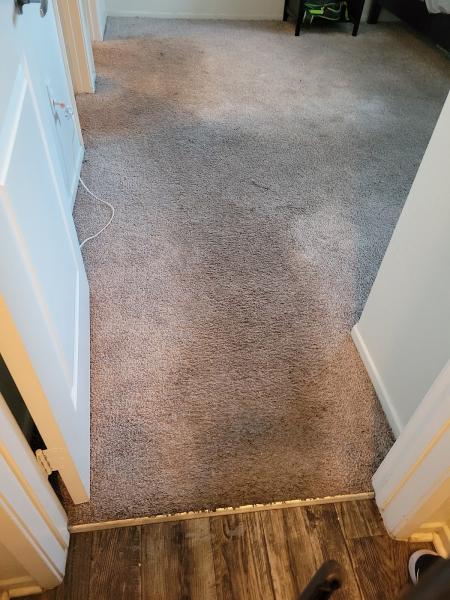 JNL Carpet Cleaning Services