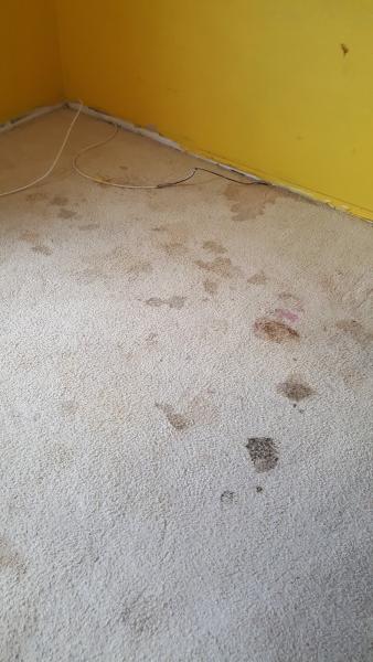 JNL Carpet Cleaning Services
