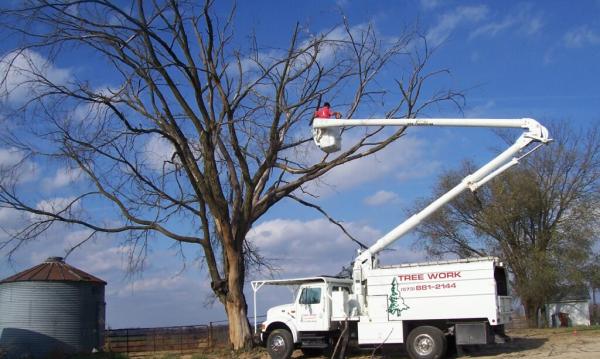 Columbia Tree Work