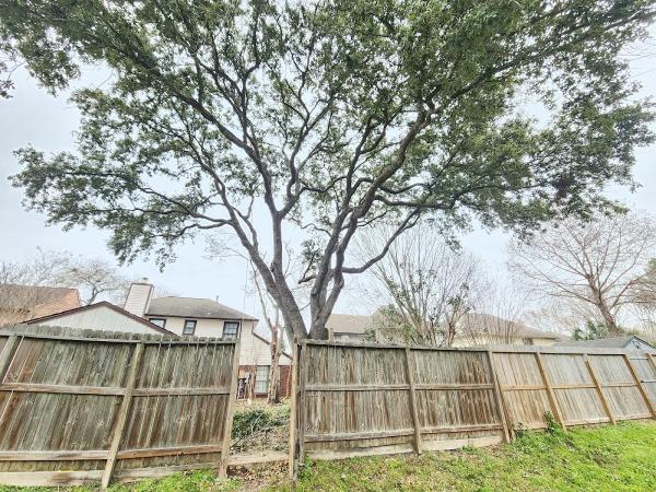 Deer Park Arbor Specialist