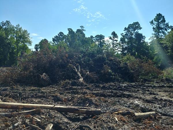 KN Demolition