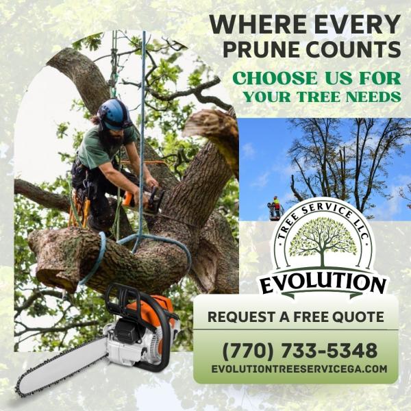 Evolution Tree Service