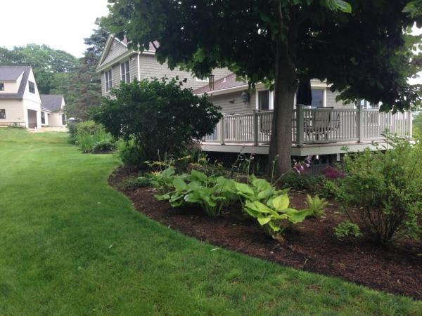 207 Landscaping Tree Service