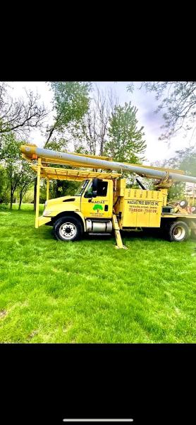 Macias Tree Service Inc