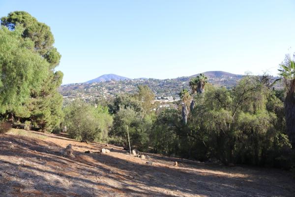 Mt. Helix Lifestyles Real Estate Services