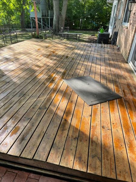 ACE Window & Gutter Cleaning