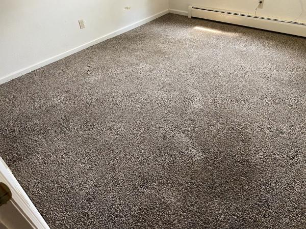 Doug's Carpet & Upholstery Care
