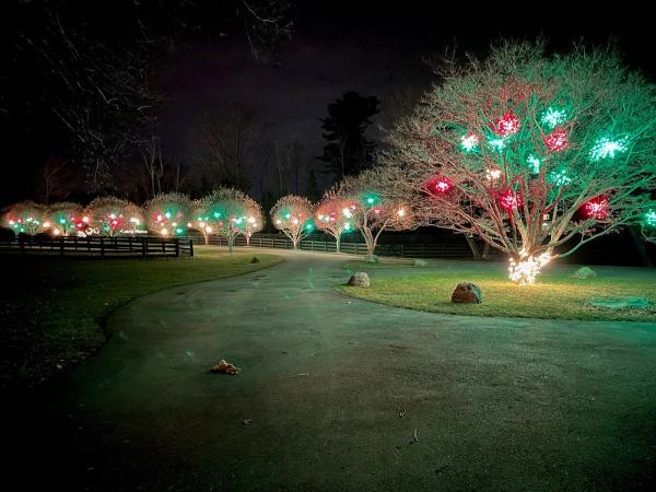 NY Landscape Lighting