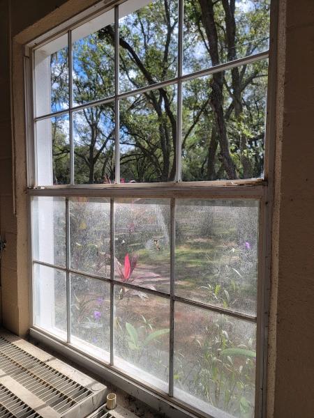 Sabrina's Window Cleaning