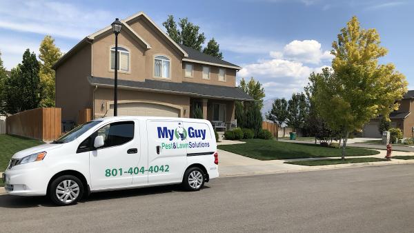 My Guy Pest & Lawn Solutions
