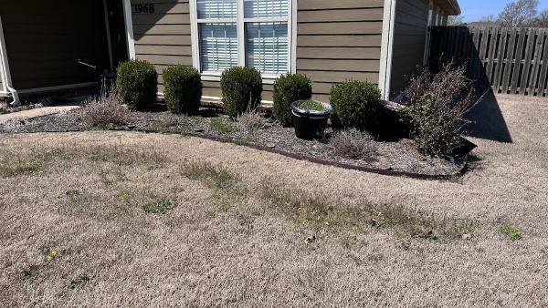 Sierra Landscaping