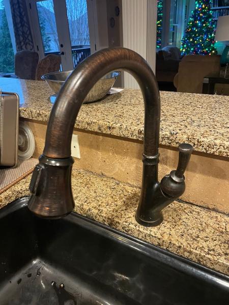 The Professional Plumber