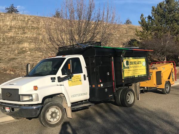 Healthy Tree Service LLC