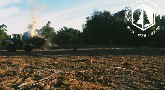 Forestry Mulching