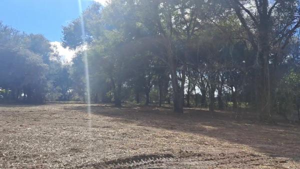 Forestry Mulching