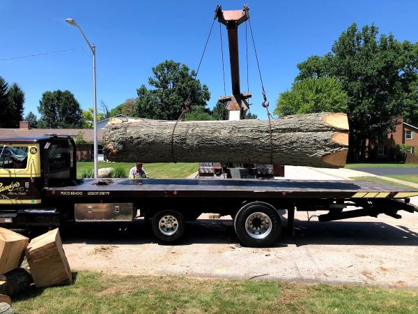 3n1 Tree Service