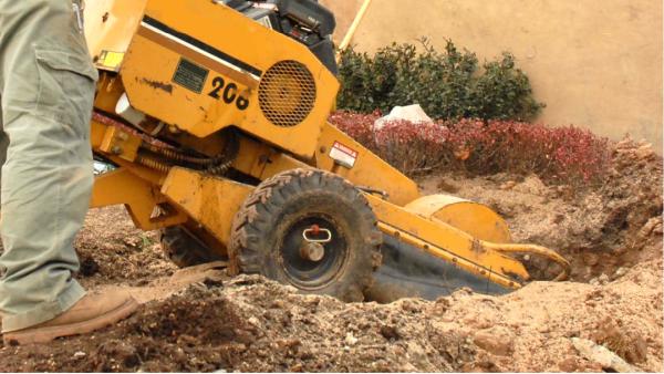 Johnie B's Stump Grinding