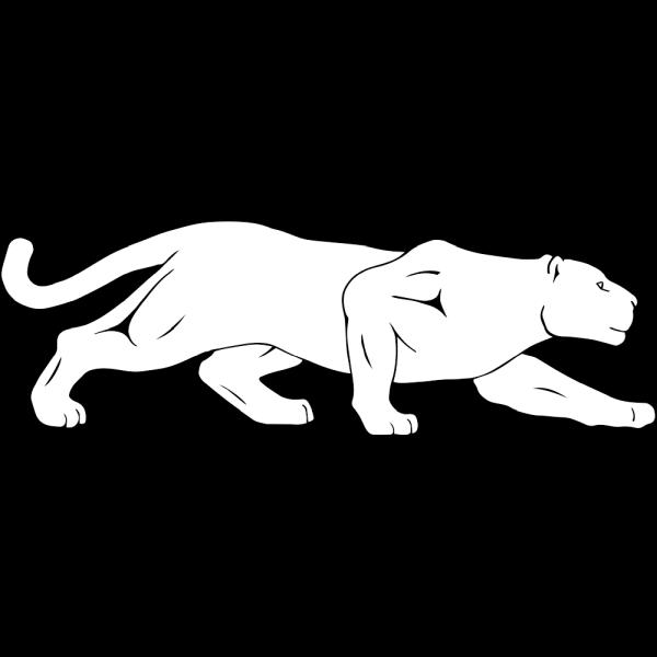Panther Inspections