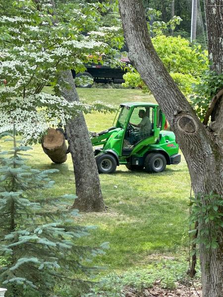 Shark Tree Service