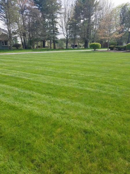 J&D Landscaping & Lawn Care Inc.