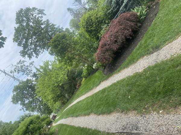 Sam Vitellaro Landscaping Inc