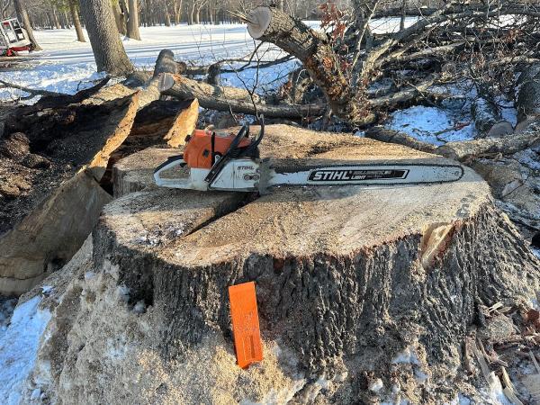 Kuiper Tree Care