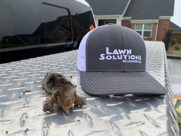 Lawn Solutions