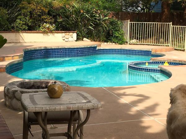 Miller Pool and Spa