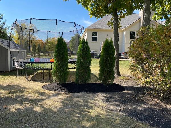 1st Choice Yard Care