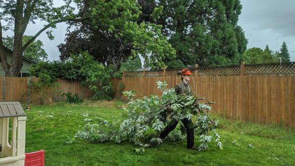 LJ Tree Care LLC