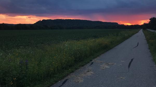 Friedrich Landscape
