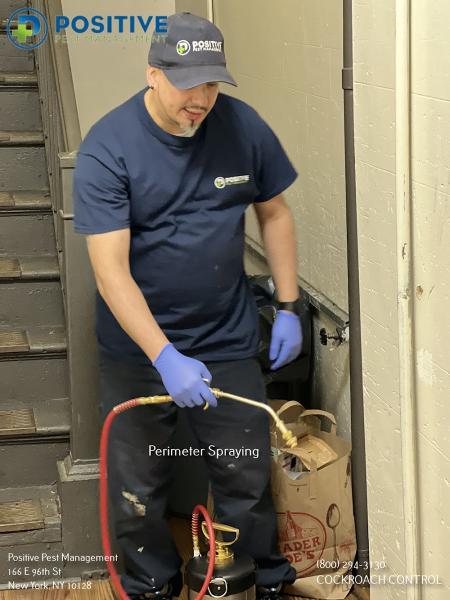 Positive Pest Management