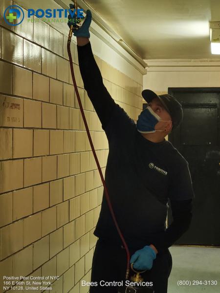 Positive Pest Management