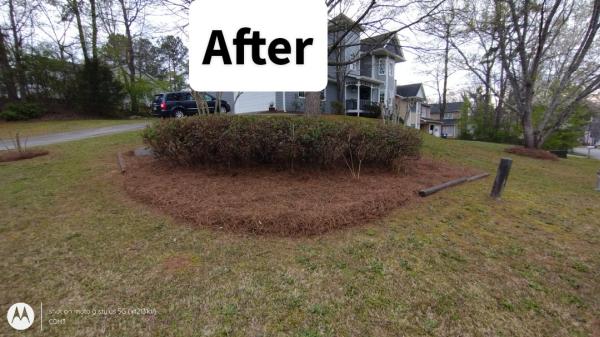Mean Green Lawn Team