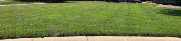 Lawn Pro