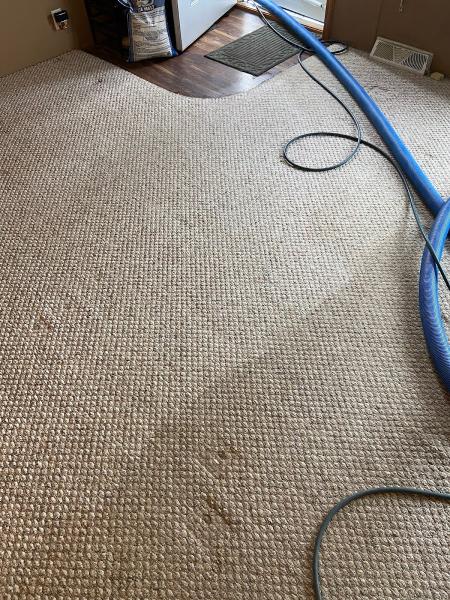 The Clean Machine