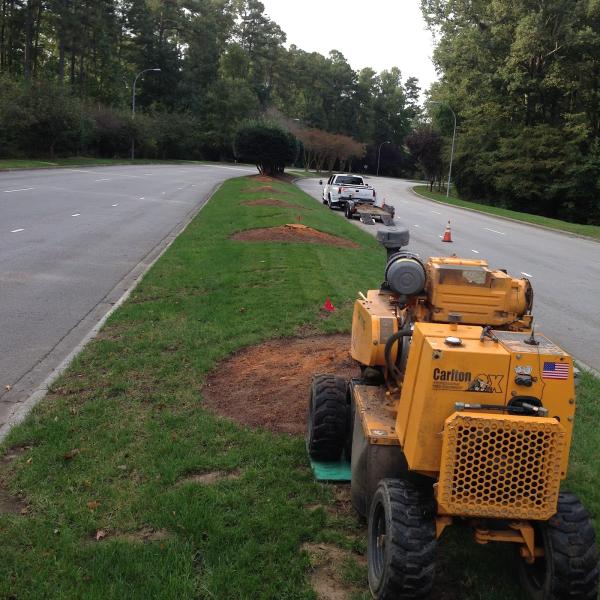 BSG Stump Grinding