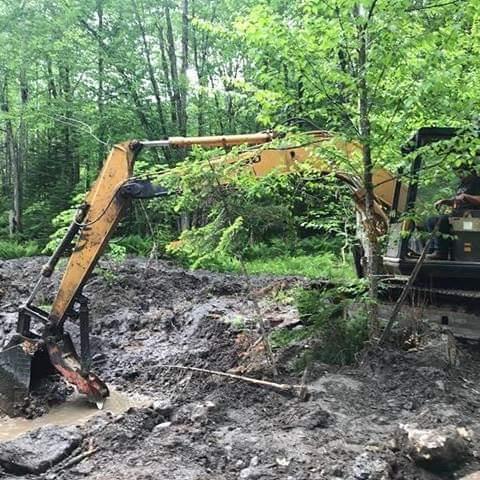 Austins Excavating& Logging
