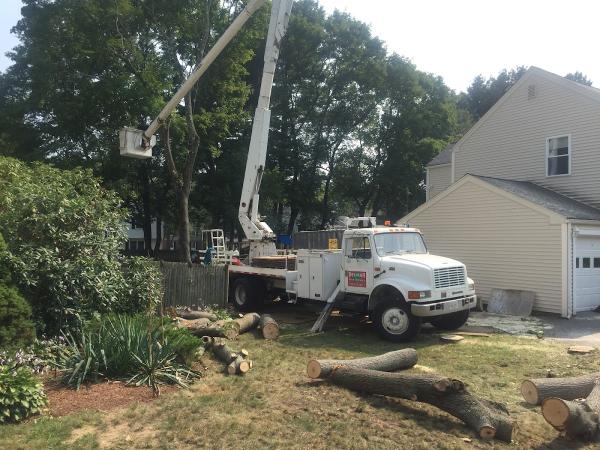Delmar Tree Landscape Inc.